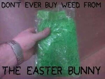 easterbunnyweed.jpg