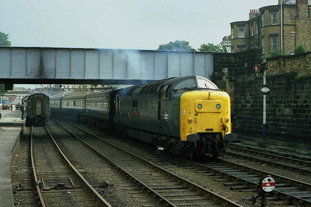 IMG_5006.jpeg IMG_5006.jpeg