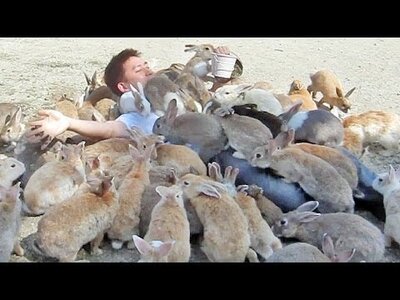 bunny orgy.jpg
