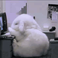 tired-bunny.gif