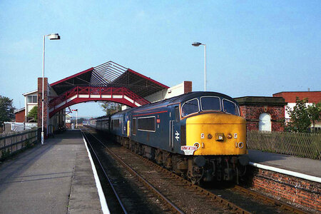 IMG_3934_Original.jpeg IMG_3934_Original.jpeg