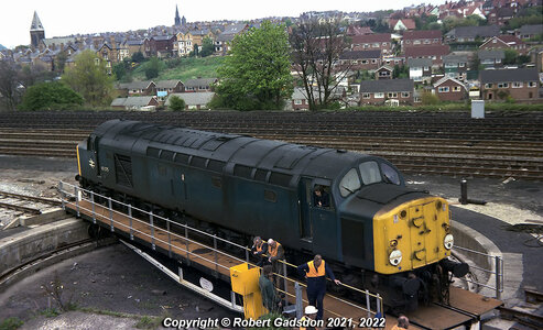 IMG_3074.jpeg IMG_3074.jpeg