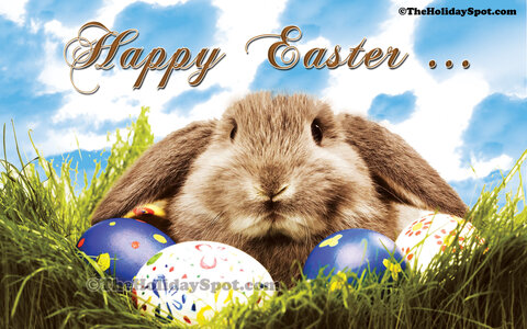 happy easter hello-bunny-2331102551.jpg