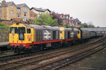 IMG_3088.jpeg IMG_3088.jpeg