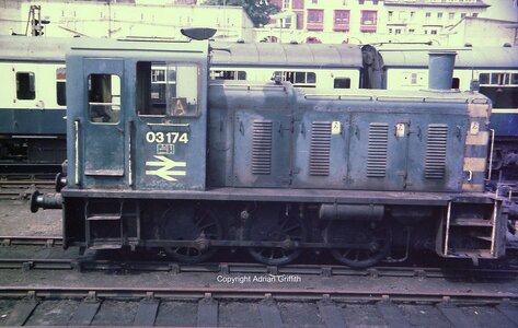 IMG_5083.jpeg IMG_5083.jpeg