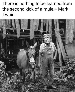 image1..jpg image1..jpg