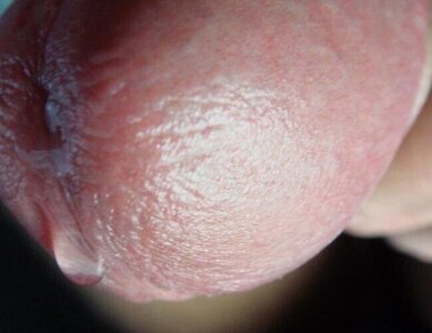 pre-cum.thumb.jpg.3d2b5923a8f9ba8e4d8238740ecb27c2.jpg