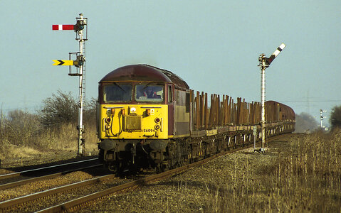 IMG_9442.jpeg IMG_9442.jpeg