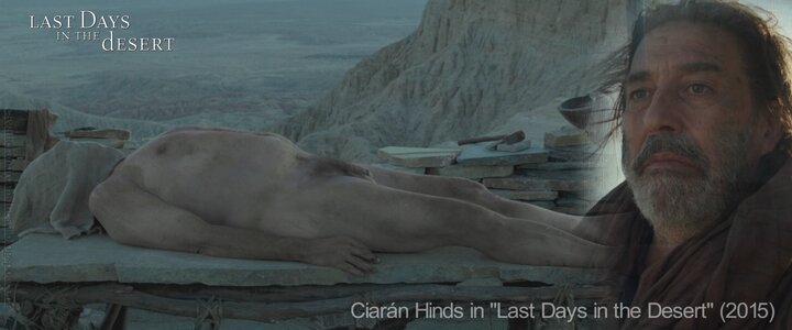 Ciarán Hinds in Last Days in the Desert (2015).jpg