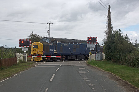 IMG_5179.jpeg IMG_5179.jpeg