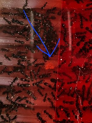 1000007699.jpg 1000007699.jpg