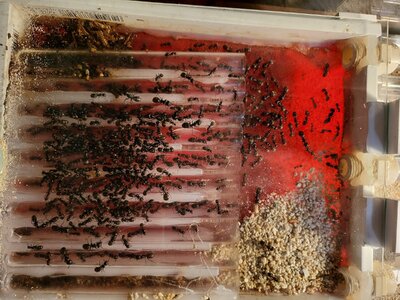 1000007711.jpg 1000007711.jpg