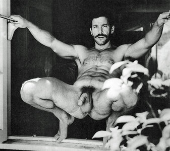 gay vintage nuts 333.jpg