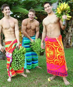 Kelii, Vincent & Casey (Fratmen).png