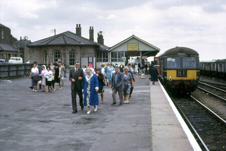 IMG_5310.jpeg IMG_5310.jpeg