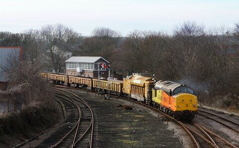 IMG_5324.jpeg IMG_5324.jpeg