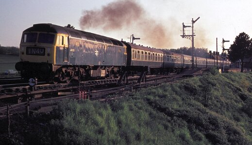 IMG_5317.jpeg IMG_5317.jpeg