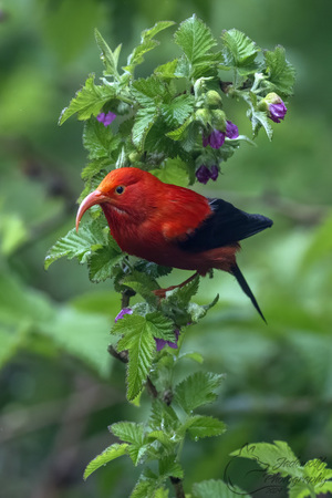 IMG_8265.png IMG_8265.png