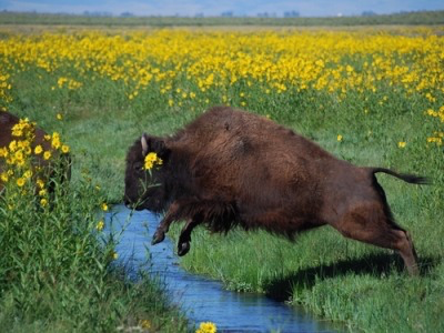 IMG_8314.png IMG_8314.png