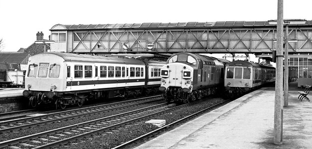 IMG_4806_Original.jpeg IMG_4806_Original.jpeg