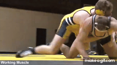 wrestling 3.gif