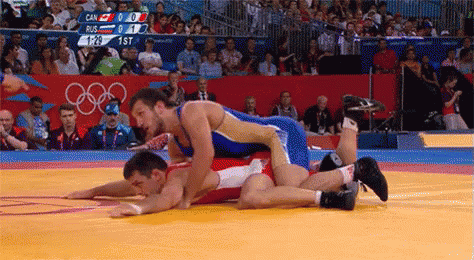 wrestling 5.gif