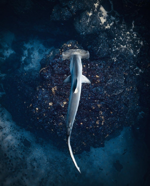 IMG_8581.png IMG_8581.png