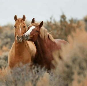 IMG_8886.png IMG_8886.png