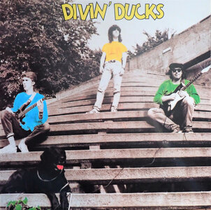 DivinDucks.jpg