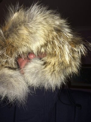 Furry Hood up v3 200414.JPG