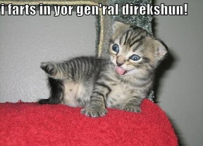 kitty-fart.jpg