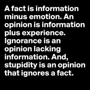Fact is information.jpg