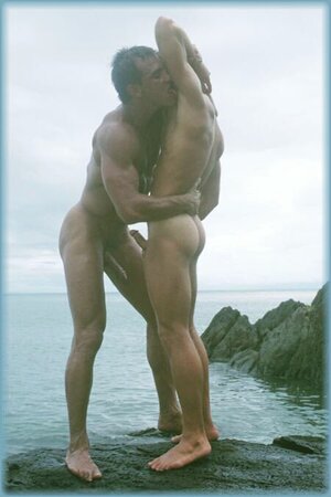 Bella lamida de aleta.jpg