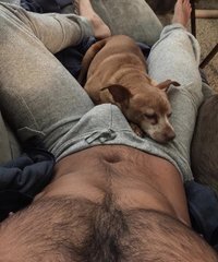 7795041-9bcc291ecaf66a39a2780cb7b4e64687.jpg 7795041-9bcc291ecaf66a39a2780cb7b4e64687.jpg