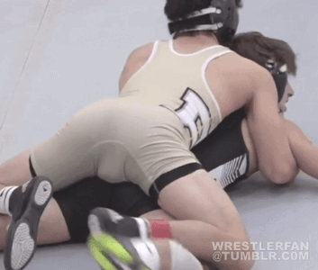 wrestling 3.gif