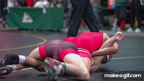 wrestling 5.gif