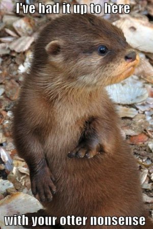 Otter.jpg