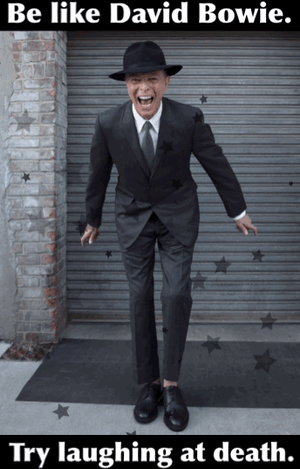 5SecondsApp_741301953.688451.gif