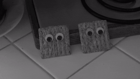 two-crackers-with-eyes-yhv7dn5dd0uujf7f.gif