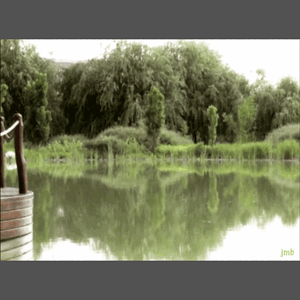 44PotD_20230712a_sp_jmbGIF_BelAmi_jump 640_640 c256 Kopie.gif