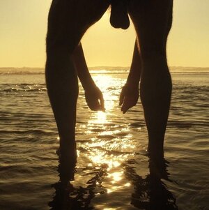 sunset low hangers.jpg