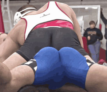 wrestling 5.gif