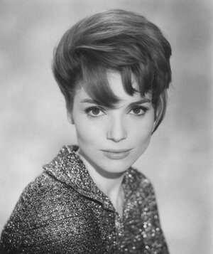 licensed-image (3).jpeg