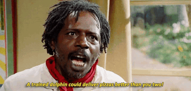 trained-dolphin-deliver-pizza.gif