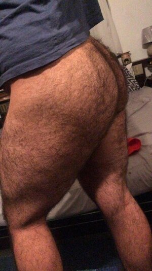 hairy ass0025.jpg