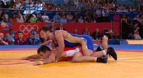 wrestling 5.gif