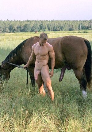 DAVENPORT Derrick horse.jpg