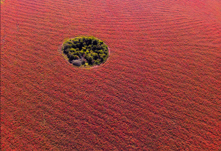 Screenshot 2024-08-01 at 12-59-26 Augenblicke Die Bilder des Tages im Juli - DER SPIEGEL.png