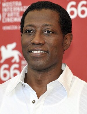 Wesleysnipes_cropped_2009.jpg