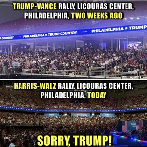 image1.jpg image1.jpg